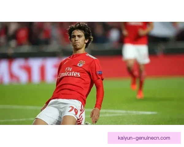 本菲卡关键球员状态回暖，球队竞争力增强备受关注